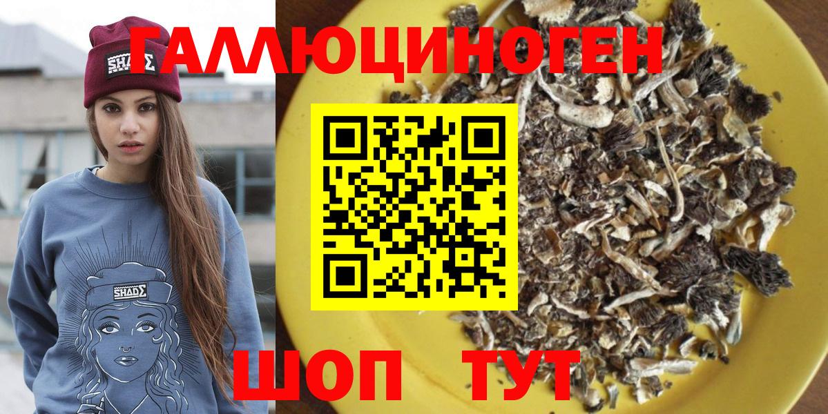 Галлюциногенные грибы GOLDEN TEACHER Химки
